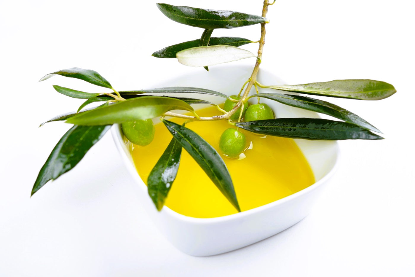 Extra virgin olive oil with fresh olives – the best oil for preserving premium sardines in olive oil.