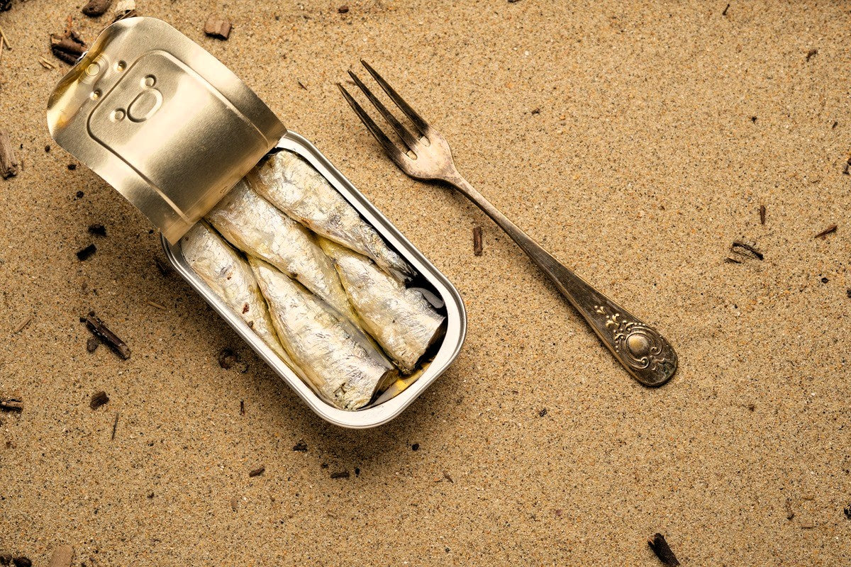 Open tin of sardines in olive oil with a vintage fork on a sandy surface